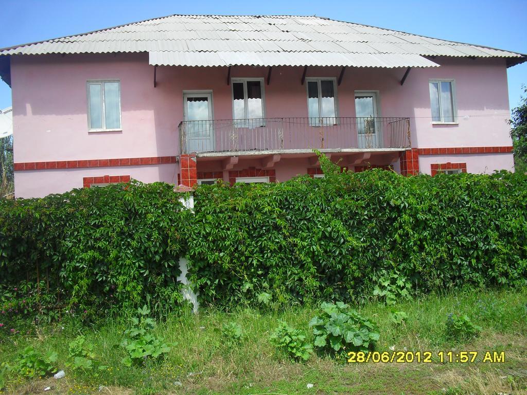Hostel Ask Karakol Εξωτερικό φωτογραφία